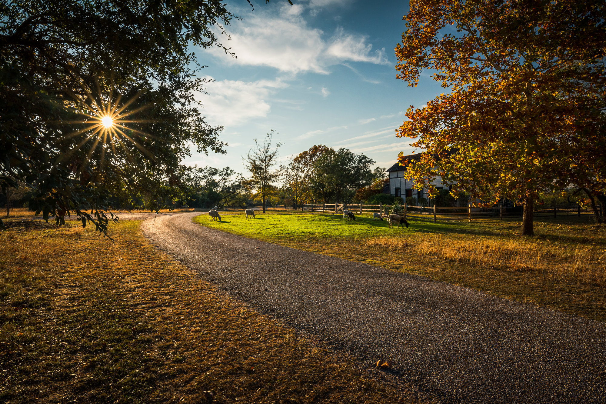 Fredericksburg Texas