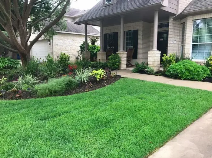 lawn maintenance