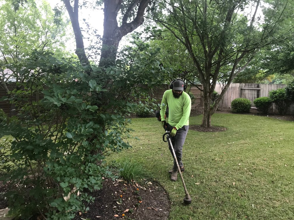 Curb Appeal Improvement Strategies