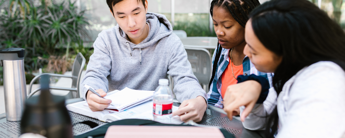 students studying together