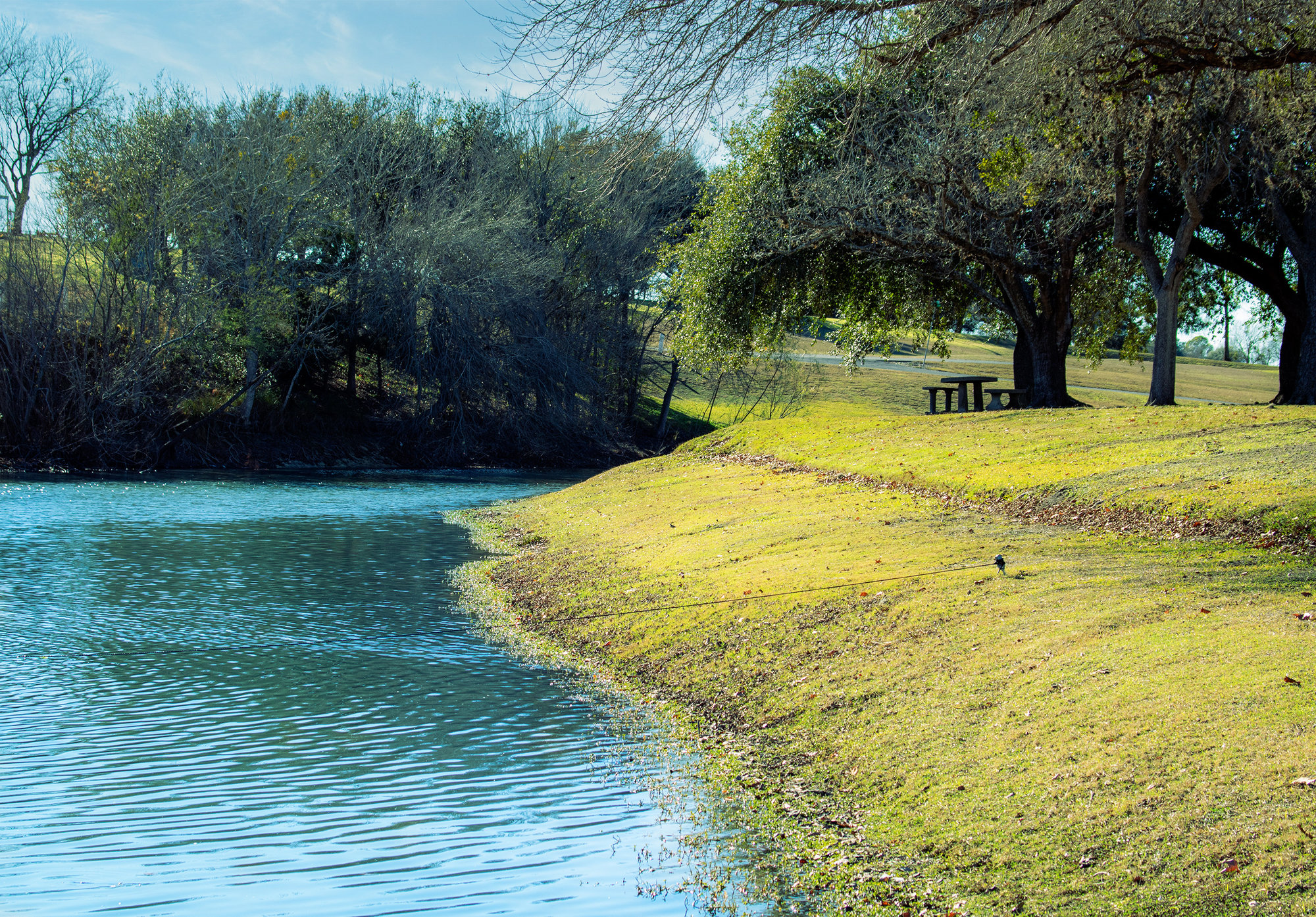 picnic area in shiner texas